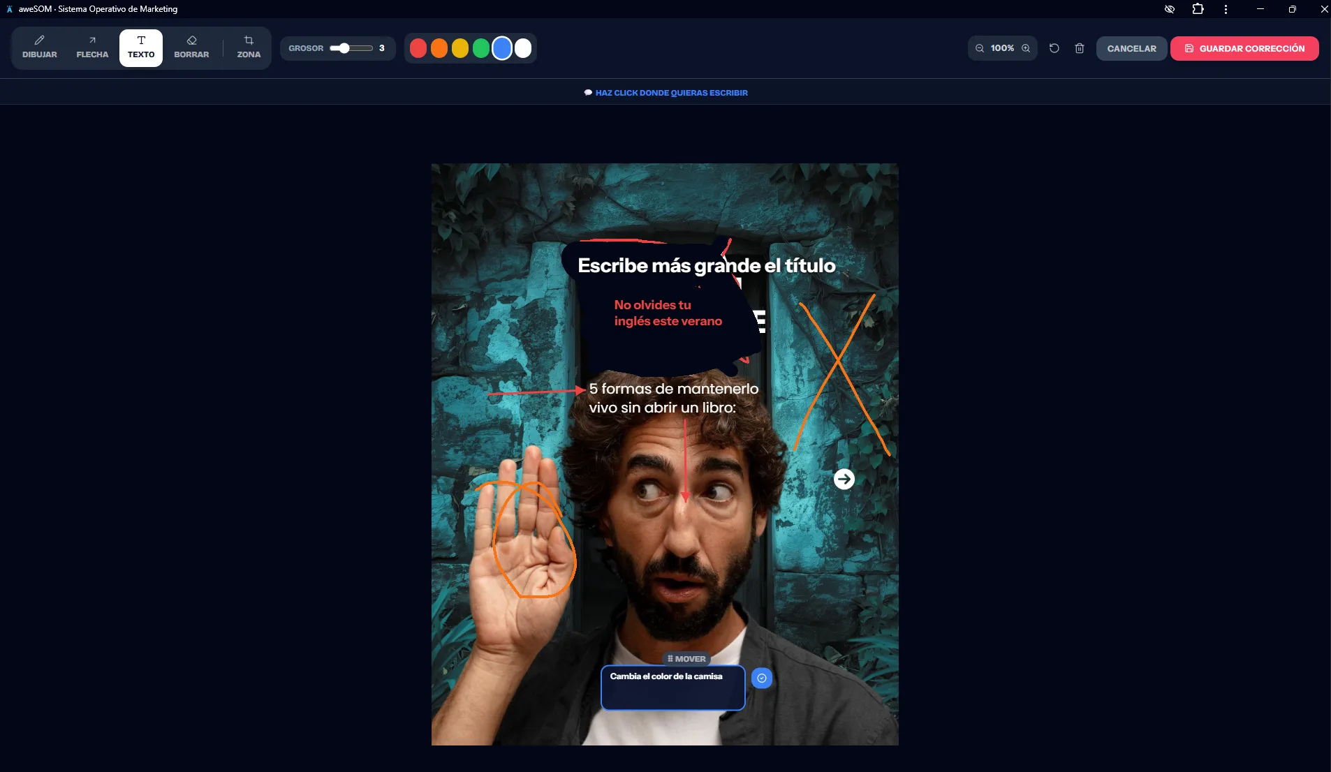 Feedback visual sobre el diseño